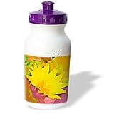 Jerry Funk Photo Artisan Flowers - Decorative colorful garden botanic plant SW Southwest Desert cactus yellow gold red flower abstract - Water Bottles