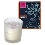Bloom of LOTUS �t���O�����X�L�����h���@���[�Y?150g