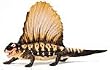 Dimetrodon Carnegie Collection