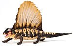 Dimetrodon Carnegie Collection