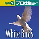 写森プロ仕様 Vol.7 White Birds かもめ