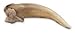 American Badger Claw (4.5cm) (Natural Bone Quality A)