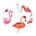 iPhone 5 5s SE case for girls, Akna Vintage Obsession Series High Impact Slim Hard Case with Soft Fabric Interior for iPhone 5 5s SE[Flamingo](U.S)