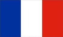 France Flag Polyester 3 ft. x 5 ft.