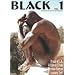Black: v. 1: The African Male Nude in Art and Photography