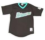 Minor League Baseball Mrytle Beach Pelicans V Neck Adult Jersey