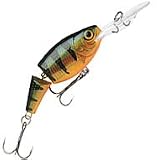 Jointed Shad Rap