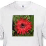 Flowers - Red Gerber - T-Shirts