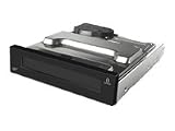 Iomega REV - Disk drive - REV ( 35 GB ) - IDE - internal - 3.5