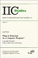 What is Protected in a Computer Program?: Copyright Protection in the USA and Europe