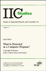 What is Protected in a Computer Program?: Copyright Protection in the USA and Europe