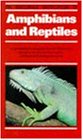 The Macdonald Encyclopaedia of Amphibians and Reptiles (Encyclopedia)