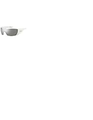 CHRISTIAN DIOR STELLE SUNGLASSES by Christian Dior