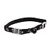 Petmate by Aspen Pet Paw Print Reflective Series Aristo Adjustable Safety Cat Collar