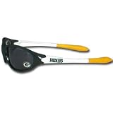 Green Bay Packers NFL Football Kid's Sunglasses