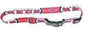 New! Small Cincinnati Reds Dog Collar