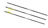 Martin Archery Blackhawk Jet Arrows W/Vanes Size 3000, 5.9gpi