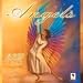 Angels 2009 Wall Calendar