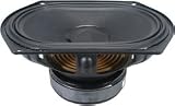 Tang Band W69-1042J 6x9 Subwoofer