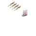 Opalescence PF 20% 4pk Mint