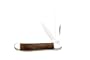 Bear & Son Cutlery 2 7/8" Rosewood Peanut 2 Blade Pocket Knife