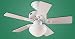 Hunter 20422 Bainbridge  One-Light 36-Inch Five-Blades Ceiling Fan
