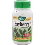 Bayberry Root Bark 100 caps