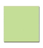 Scrapbook Paper, Celestial Scrap Studio, Baby Blessing, Boy, Solid Lime Green- Perfect for Scrapbooking, Card Making and Designing, and Adding Decorative Touches to Picture Frames and Other Home Decor- Record All Your Favorite Memories with These Keepsake Letterings- LDS Families, Primary, Young Womens, Young Mens, Releif Society, Priesthood
