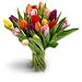 Tulips Flower Bouquet Delivery FRESH FLOWERS guara