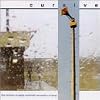 The Storms of Early Summer: Semantics of Song