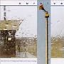 The Storms of Early Summer: Semantics of Song