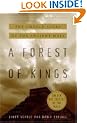 A Forest of Kings: Untold Story of the Ancient Maya
