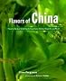 Flavors of China