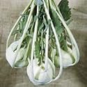 SUTTONS SEEDS: Kohl Rabi F1 Lanro Seeds (135 seeds)
