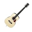 DTMANT Acoustic Guitar Natural
