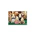 Calico Critters: Beagle Dog Family