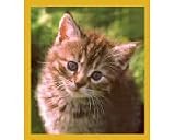 Look At Me
