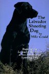 Labrador Shooting Dog