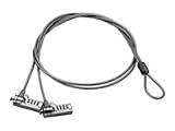 TARGUS DEFCON Dual Head Combination Lock - Bulk 25