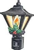 Baby : Lantern Night Light