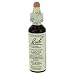 Bach Flower Essences Flower Essence Larch 20 Ml