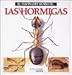 Las hormigas