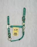 Hamilton Deluxe 1 Nylon Horse Halter with Adjustable Chin and Throat Snap, Green, Large (1100-1600 lbs)