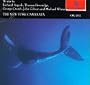 Voice of the Whale