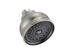 Delta Faucet Company RP43164SS Orleans Touch-Clean Showerhead, Stainless