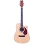 JB Player Dreadnought Acoustic-Electric Guitar