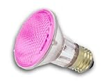 Bulbrite 683506 - H50PAR20P - 50 Watt Pink PAR20 Halogen Flood Light Bulb