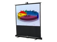 Infocus Leinwand SC PU 60