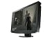 Eizo FlexScan HD2442W-TS 24 Zoll Wide Screen LCD-Monitor VGA, DVI, 2x HDMI (Kontrast dyn. 3000:1, 6 ms Reaktionszeit), titan