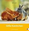 S��e Kaninchen 2007. Postkartenkalender. Postkartenkalender mit Aufsteller